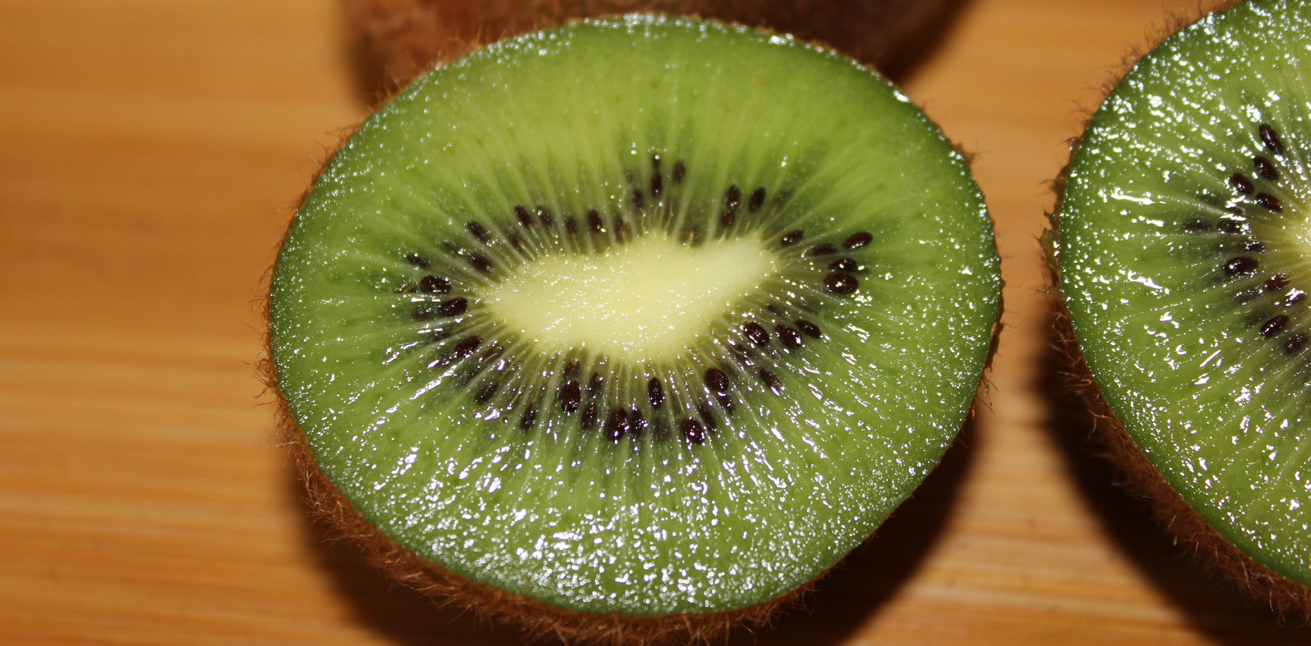 kiwi photo